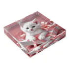 coco...の姫ねこ Acrylic Block :placed flat