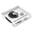 CHIBE86のMajestic Roar Acrylic Block :placed flat