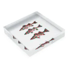 sakanaのatcq seabass Acrylic Block :placed flat