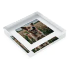 kokin0の畑で微笑む犬 dog smailing in the ground Acrylic Block :placed flat