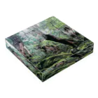 つぶつぶとのForest Acrylic Block :placed flat