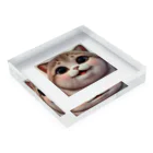 ngsonlineshopの最強可愛いデブ猫 Acrylic Block :placed flat