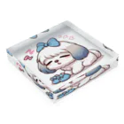 PALA's SHOP　cool、シュール、古風、和風、ねこ、ワンちゃん、ウサギさん、野鳥。のお眠なシーズー　パピー Acrylic Block :placed flat