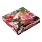 水彩屋のrosa Acrylic Block :placed flat