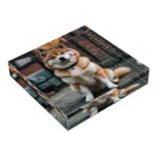 kaerinofficeのかわいすぎる柴犬の表情を収めた写真📸  Acrylic Block :placed flat