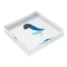 TESHIGOTOのブルーボタンインコさん Acrylic Block :placed flat