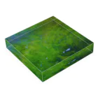 zono-on shop☆のDammar resin Acrylic Block :placed flat