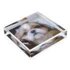 honeys'shopのDog Acrylic Block :placed flat