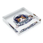 maronchiro55の宇宙猫Meru Acrylic Block :placed flat