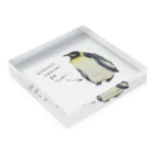 oyu♪のたるみペンギン Acrylic Block :placed flat
