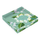 PistachioFrog@SUZURIのazisai frog Acrylic Block :placed flat