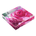 UvUのrose Acrylic Block :placed flat