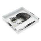 kekozの考える猫のマラシャ Acrylic Block :placed flat