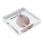 Vanilland のUSAGIロゴ入り Acrylic Block :placed flat