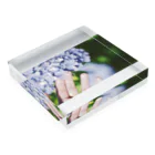 miyanueの紫陽花 Acrylic Block :placed flat