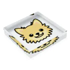 みんスマ-minna smile-のクリームチワワ Acrylic Block :placed flat