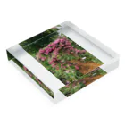 pinkrosegardenのsecret rose garden Acrylic Block :placed flat