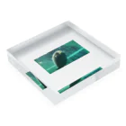 Teatime ティータイムのマナティ 海の生き物  Acrylic Block :placed flat