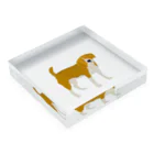 dogのdog Acrylic Block :placed flat