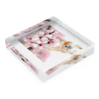 The Art FatherのFoxy Spring Sytle Acrylic Block :placed flat