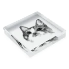 クロミケ堂のらんらん猫 Acrylic Block :placed flat