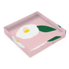 Mari,Sakamotoのツバキ（白） Acrylic Block :placed flat