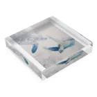 BlueOseanの海亀 Acrylic Block :placed flat