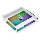 PSYCHEDELIC ART Y&Aの脱落 Acrylic Block :placed flat