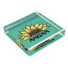 miy＊jamminのam Acrylic Block :placed flat