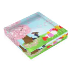 A＆OShopの想い桜の下で Acrylic Block :placed flat