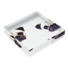 Nicopain_pugのにこが２こ Acrylic Block :placed flat