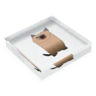 MOBのシャム猫 Acrylic Block :placed flat