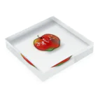 りんごのワンポイントなりんご Acrylic Block :placed flat