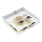 photo-tkのBaby ちまきくん Acrylic Block :placed flat