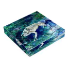 Fantastic FrogのFantastic Frog -White Ice Version- Acrylic Block :placed flat