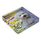 cotton flowerの笑うモコ Acrylic Block :placed flat