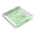 nonaの市議のアマミヤマシギです Acrylic Block :placed flat