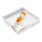 HOKO-ANの出雲なんきん Acrylic Block :placed flat