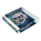 JuRiのskeleton Acrylic Block :placed flat