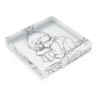 36sanのangry cat queen Acrylic Block :placed flat