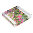 かぴばらのFLOWERS-ぴんく- Acrylic Block :placed flat