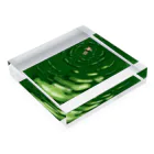 サカナの餌の緑茶遊泳 Acrylic Block :placed flat