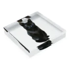 にゃんこ先生のMiao Acrylic Block :placed flat