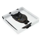 ねこまちランドの子猫のレオン Acrylic Block :placed flat