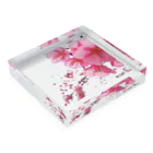 S Matsuのかわづさくら Acrylic Block :placed flat