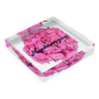 Luna Dream Projectの紫陽花 ～hydrangea ～ Acrylic Block :placed flat