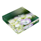 PhotoAtelier Aileのangel of hydrangea 170603 Acrylic Block :placed flat