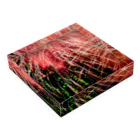 Takashi MUKAIのBlock-Photo-Hanabi02 Acrylic Block :placed flat