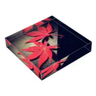 Kuro*s Brandのモミジ Acrylic Block :placed flat