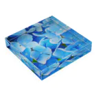 nyonyum☻の紫陽花 Acrylic Block :placed flat